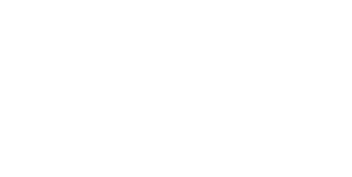 Finnish Meteorological Institute